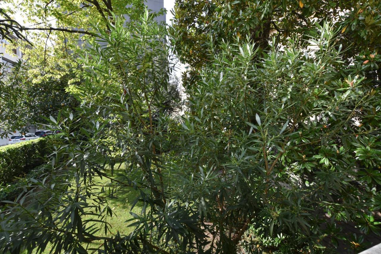 Lake Como Holiday Apartments Exterior foto